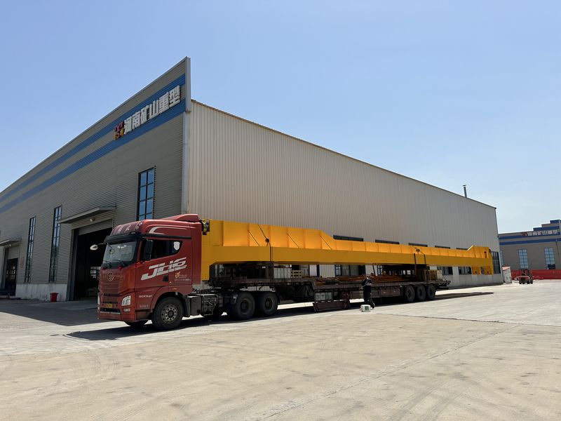 龍佰集團選用我公司QD25/5t,跨度28.5m通用橋式起重機